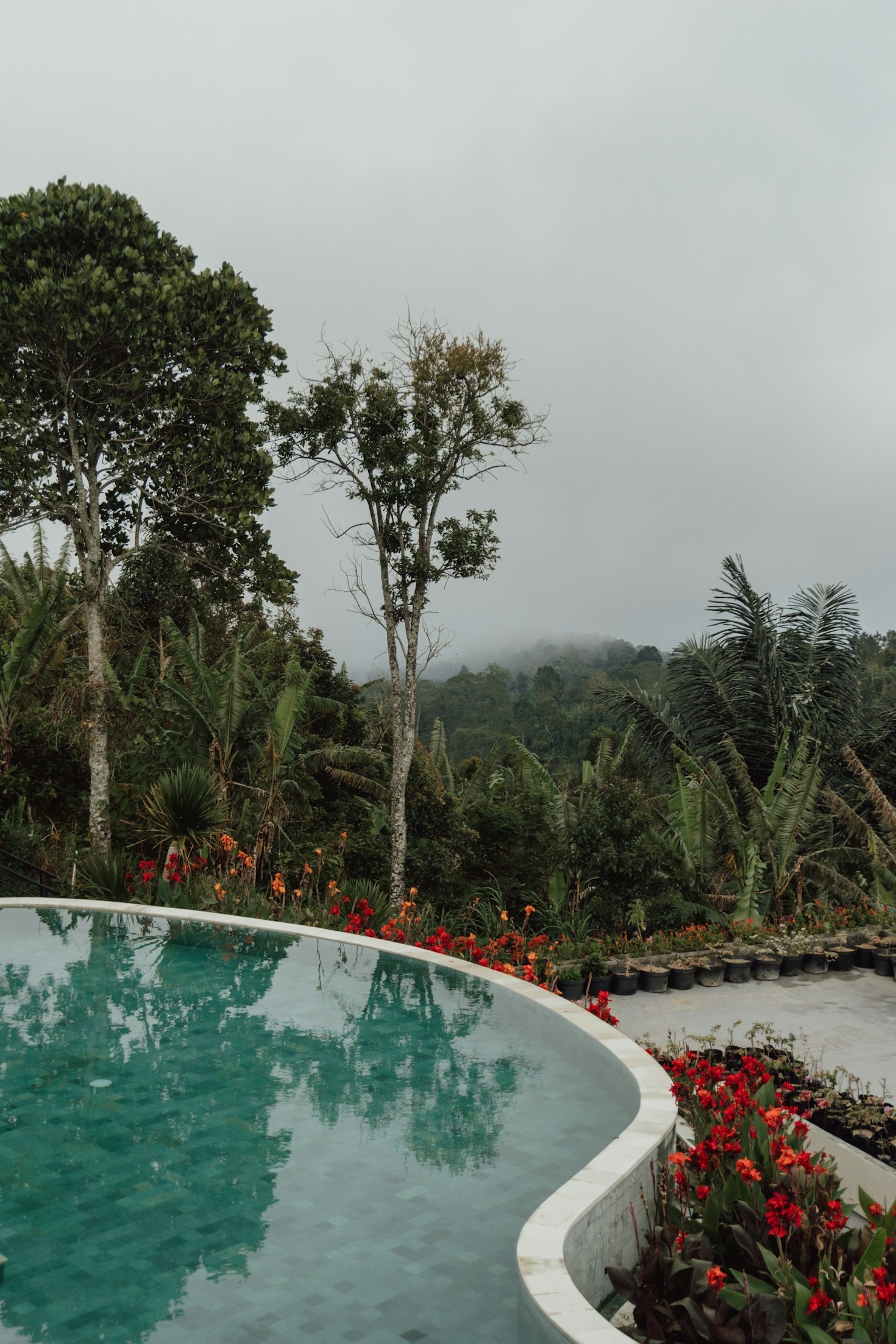 La cultura costaricana: tradizioni e modernità