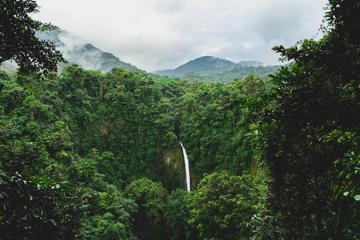 Scopri la natura mozzafiato del Costa Rica
